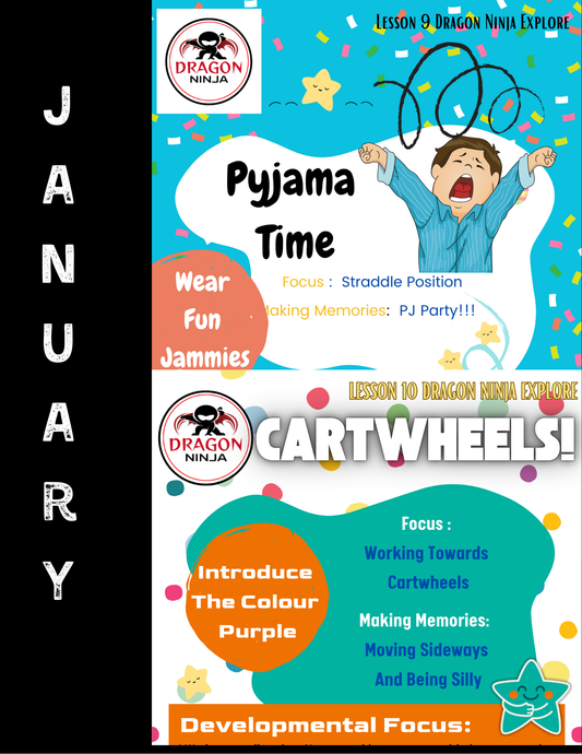 Ninja January Lesson Plans